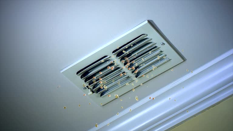 Best Local Air Duct Cleaning Services  in Ayden, NC