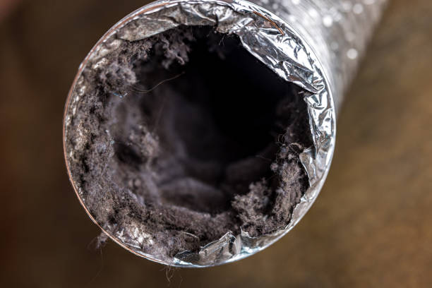 Best Local Air Duct Cleaning Services  in Ayden, NC
