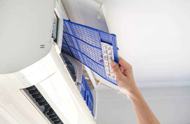 Best Emergency Air Duct Cleaning  in Ayden, NC