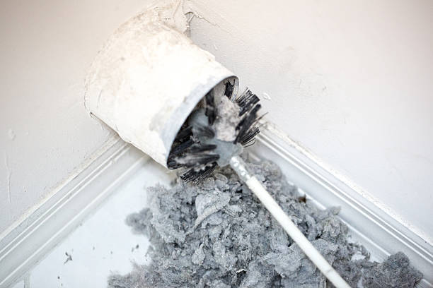 Best Best Air Duct Cleaning Company  in Ayden, NC